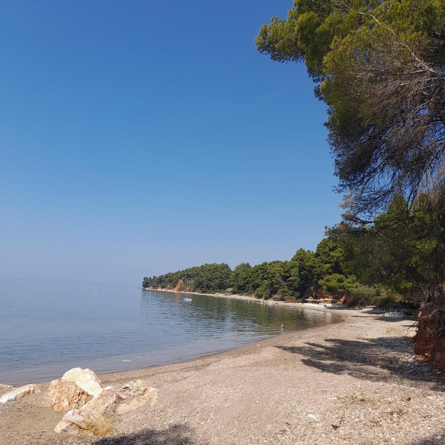 Ta Pefka Appartement Nikiti  Buitenkant foto